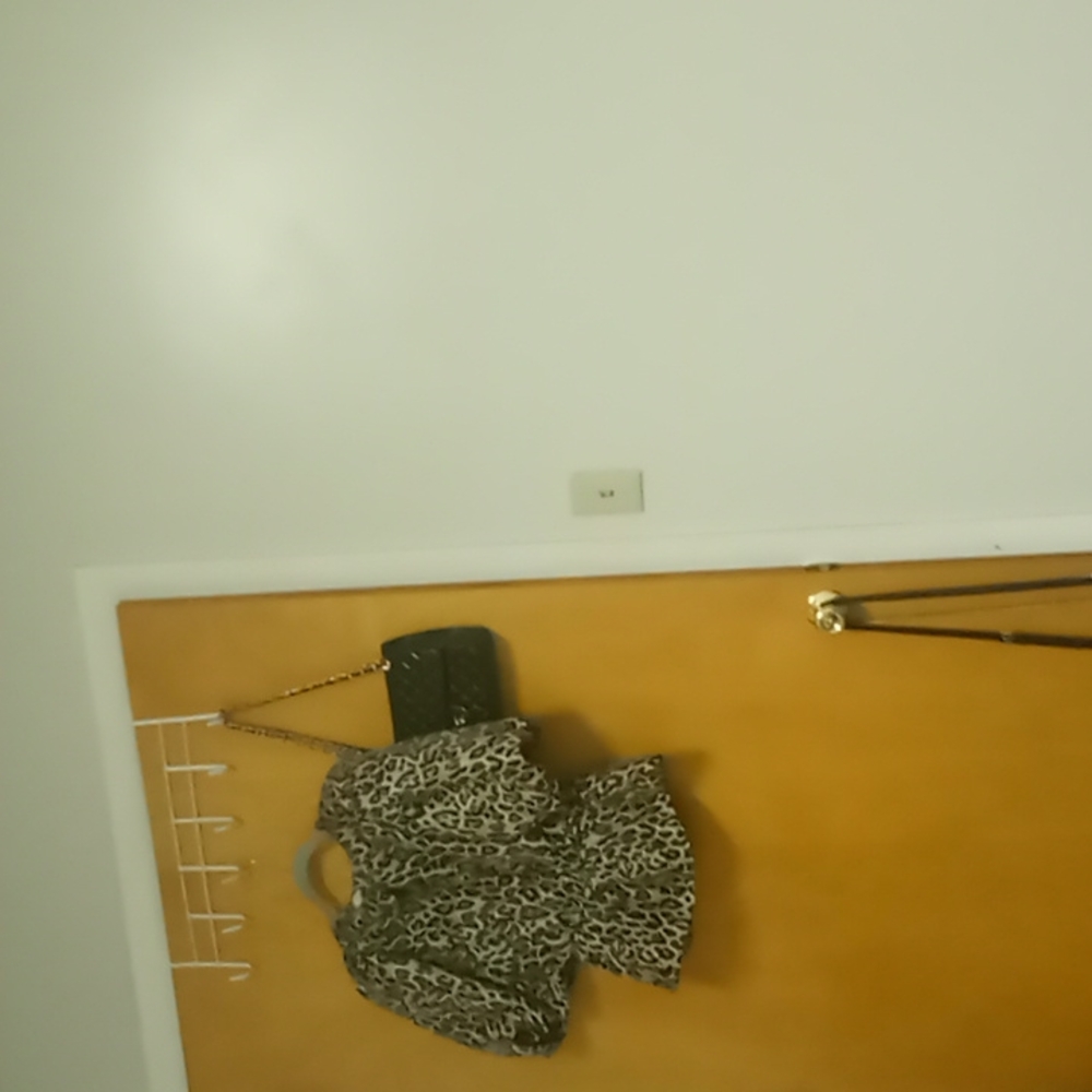 Leopard H&M top